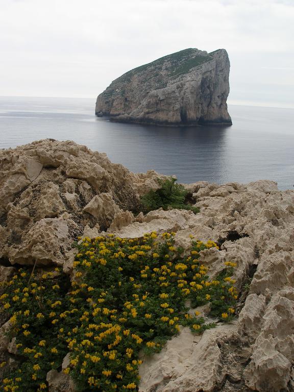 Giramondo Sardegna Affittacamere Alghero Buitenkant foto