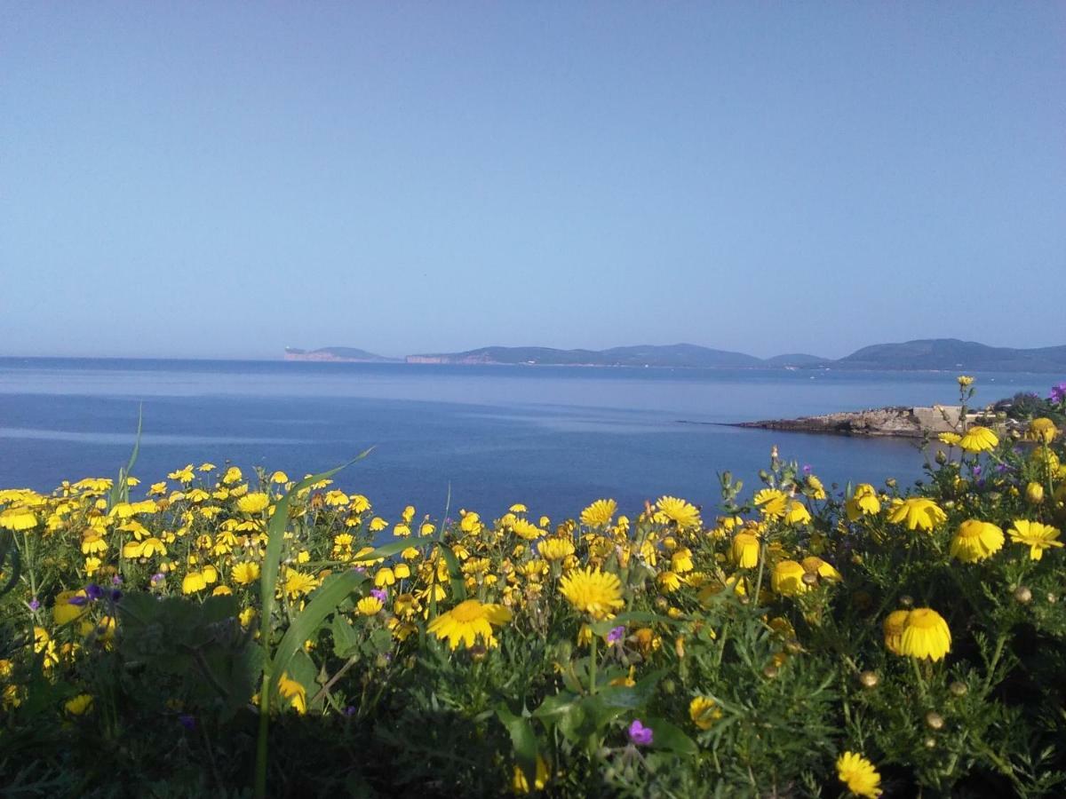 Giramondo Sardegna Affittacamere Alghero Buitenkant foto